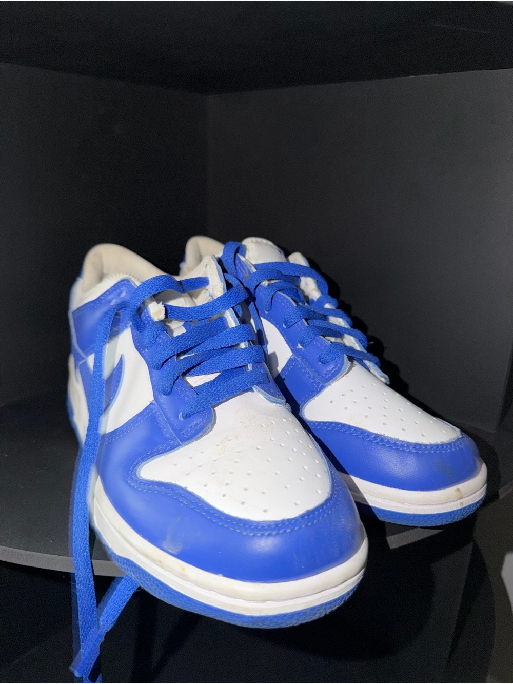Nike Kids White and Royal Blue Low Top Sneakers